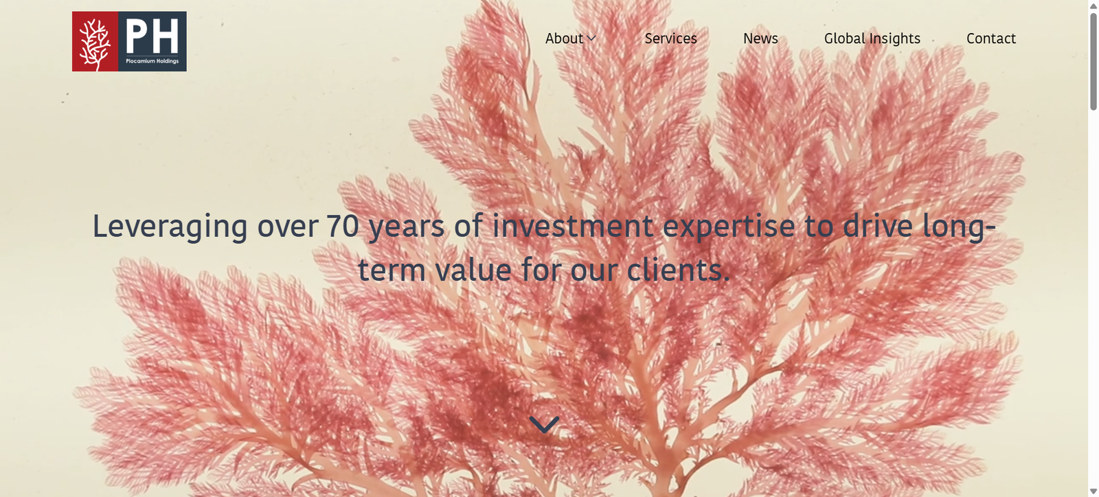 Plocamium project visual